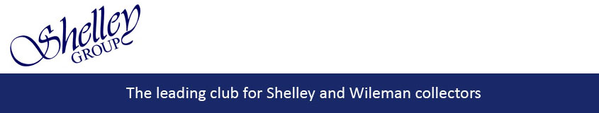 New Shelley Group logo