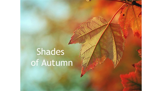 Shades of Autumn